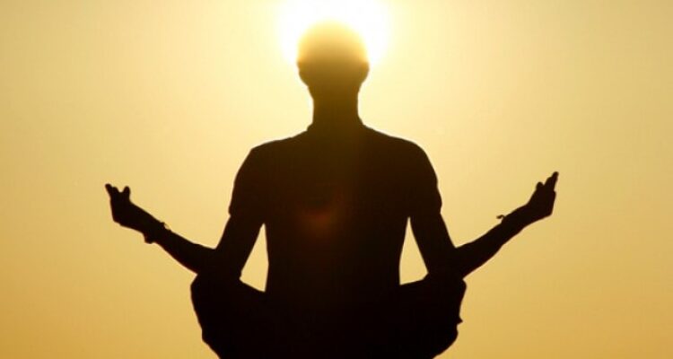 Pesta yoga international