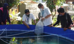 7bdd91cf-19a6-4c6b-8c7b-e930429e7463