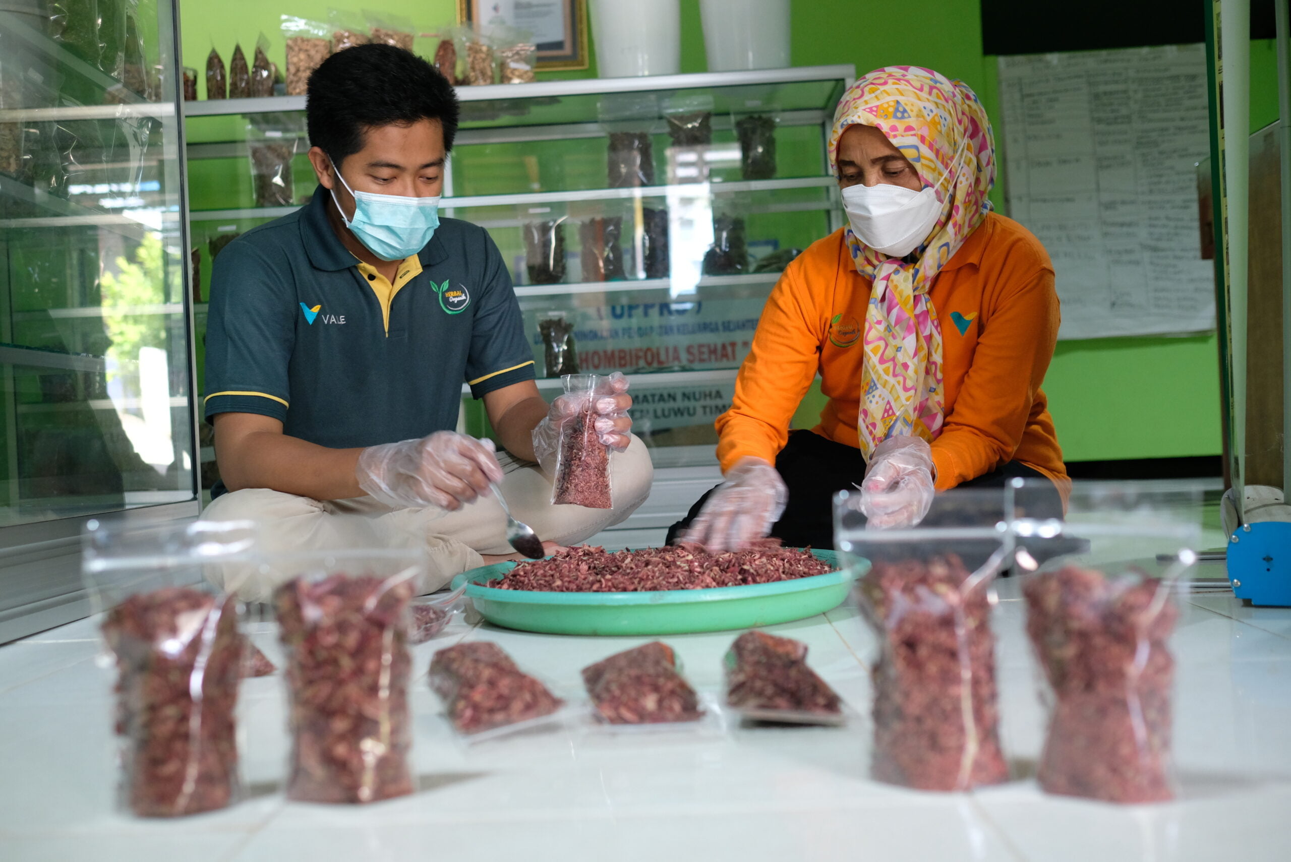 Kader Herbalist binaan PT Vale meracik tanaman herbal menjadi ramuan berkhasiat di Sorowako, 03112021. (Muh. Sadam Said)
