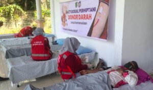 donor darah