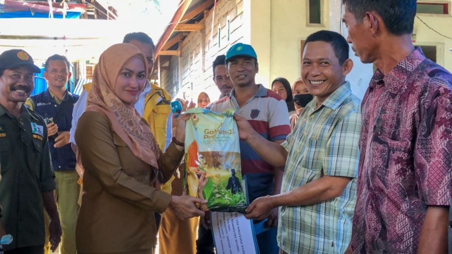 Bupati Luwu Utara, Indah Putri Indriani saat kenyerahkan bantuan benih jagung di Kecamatan Malangke Barat