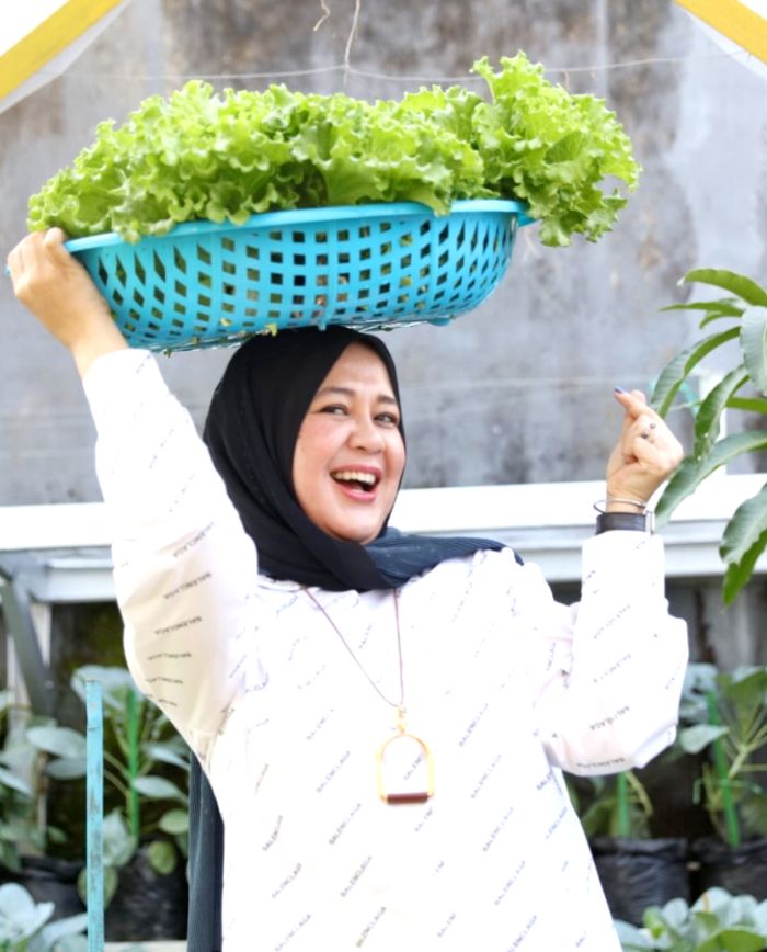 Wakil Wali Kota Makassar Panen Selada di Lorong Wisata