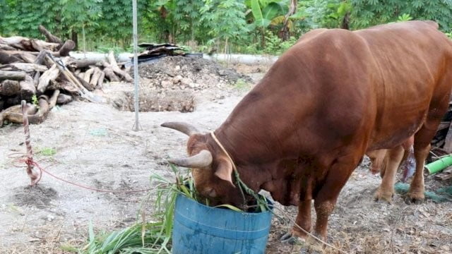 WhatsApp Image 2022-09-11 at 20.08.57 (6)