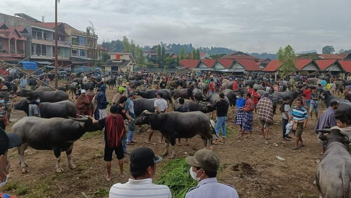 WhatsApp Image 2022-09-11 at 20.08.57 (9)