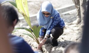 A77CE641-6413-457E-90BF-97D62E8C2F3C