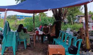 d5dcb90b-4e37-443a-8951-cdb20dbc46ed_11zon