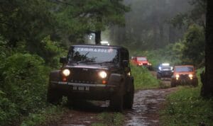 6d2f43d0-8e17-4ad2-b327-8cb70a31449f