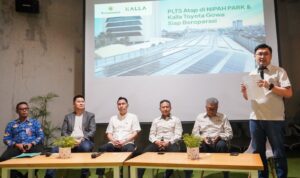 WhatsApp Image 2025-03-17 at 21.12.08