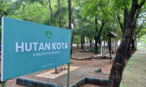 20231213_091915-768x432