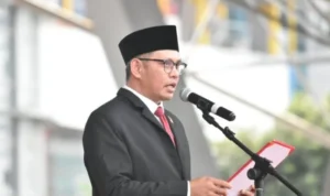 Screenshot_20250817_104606_WhatsAppBusiness-700x530