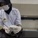 Sekolah Islam Athirah meloloskan tiga tim ke final Olimpiade Penelitian Siswa Indonesia (OPSI) 2025.