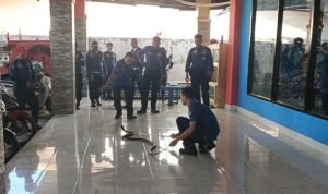 IMG_20260609_103900