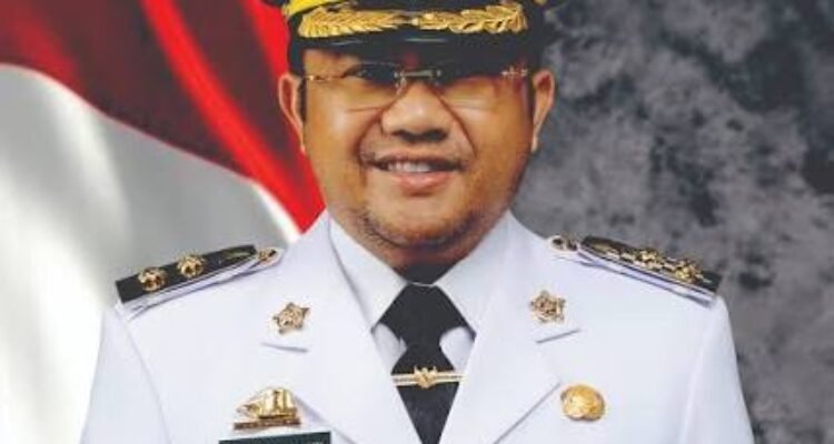 Plt Bupati Gowa - Darmawangsyah Muin
