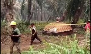 Penemuan terbaru terjadi pada Selasa (20/10/2026). Benda berbentuk melengkung seperti kubah itu ditemukan di kawasan perkebunan dan menarik perhatian warga karena bentuknya tidak lazim. Penemuan terbaru terjadi pada Selasa (20/10/2026). Benda berbentuk melengkung seperti kubah itu ditemukan di kawasan perkebunan dan menarik perhatian warga karena bentuknya tidak lazim.